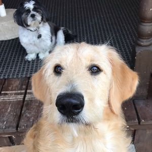 Meet your Posher, Angelica